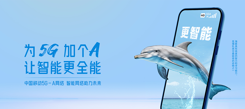 中国移动德化县移动宽带